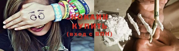 амф Верея