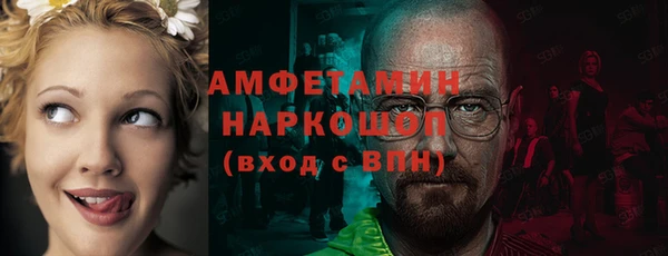 амф Верея