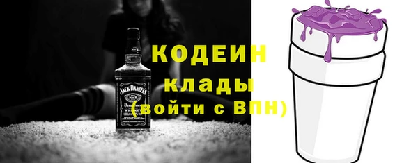 амф Верея