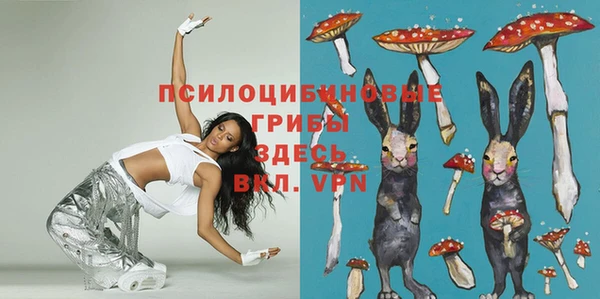 Альфа ПВП Верхнеуральск