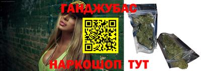 сатива Новозыбков
