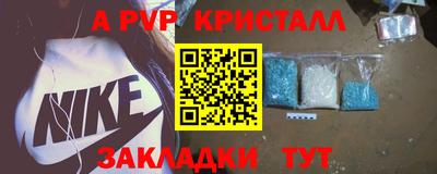сатива Новозыбков
