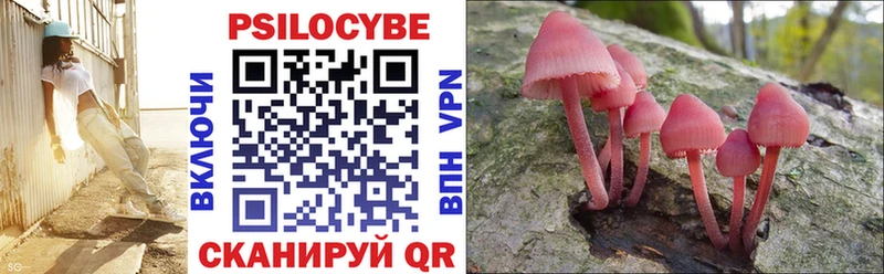 Псилоцибиновые грибы MAGIC MUSHROOMS Славянск-на-Кубани