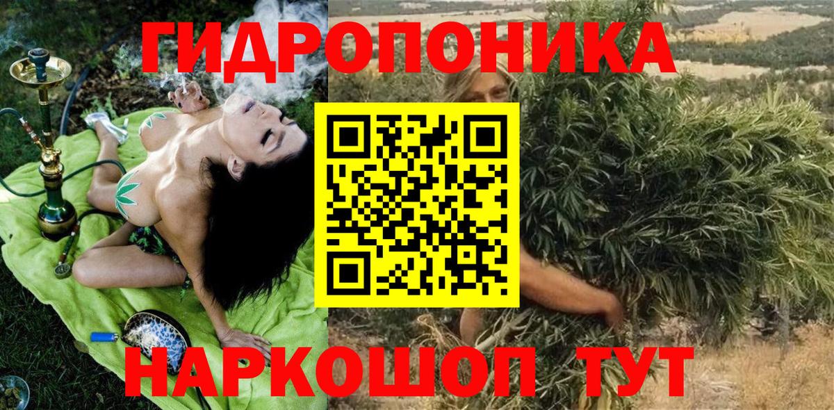 Конопля семена Славянск-на-Кубани